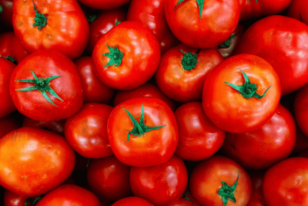 siapa suka tomat?