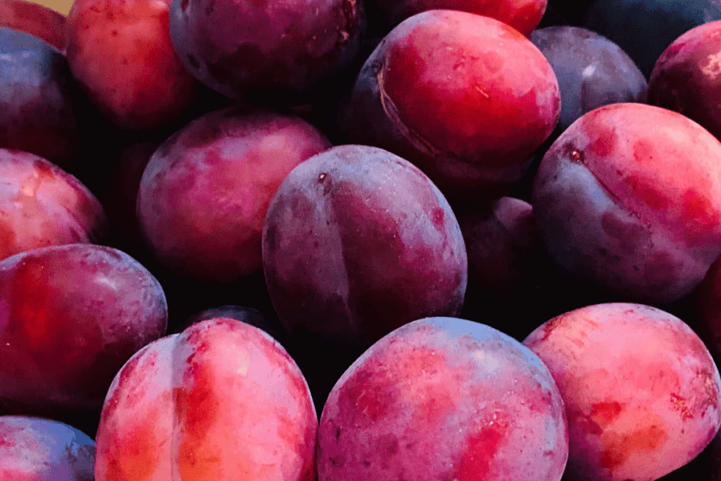 buah plum kaya antioksidan